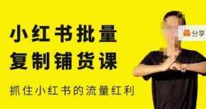 张宾·小红书批量复制铺货课,小红书0-1快速起号变现玩法,抓住小红书的流量红利(更新2023年3月)-泰戈创艺资源库