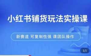 小红书铺货玩法实操课，流量大，竞争小，非常好做，新赛道，可复制性强，可团队操作-泰戈创艺资源库