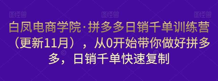 白凤电商学院·拼多多日销千单训练营，从0开始带你做好拼多多，日销千单快速复制（更新知2023年3月）-泰戈创艺资源库