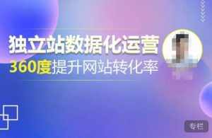 独立站数据化运营,360度提升网站转化率,亿级独立站大卖,带你用数据说话,提升转化率超过4%-泰戈创艺资源库