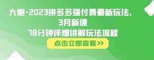 大炮·2023拼多多强付费最新玩法，3月新课​78分钟详细讲解玩法流程-泰戈创艺资源库