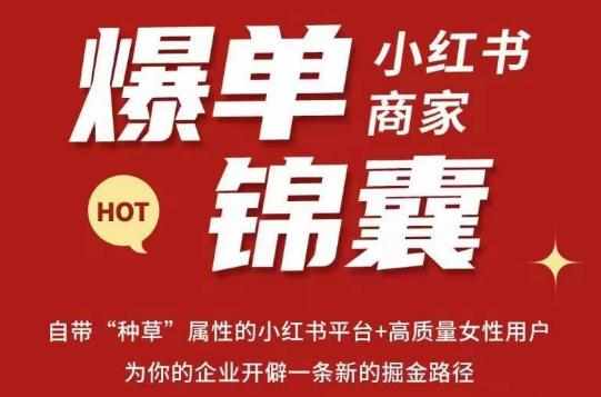 无畏·小红书商家爆单锦囊，掌握小红书各大规则，快速精准抢占行业和市场-泰戈创艺资源库