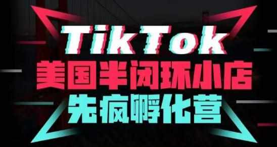 疯人院·TikTok美国半闭环小店孵化营,抢占TikTok美国蓝海市场,开店、运营、带货、投流全实操-泰戈创艺资源库