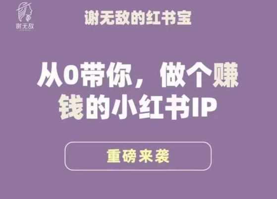谢无敌·小红书运营大宝典，从0带你做个赚钱的小红书IP-泰戈创艺资源库
