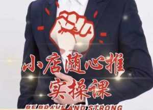 随心推线上课，小店随心推的投放逻辑，投放技巧，快速打标签-泰戈创艺资源库