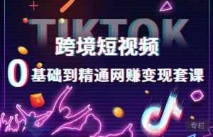跨境短视频TIKTOK 0基础到精通网赚变现套课，跨境短视频独立站带货变现技巧-泰戈创艺资源库