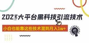 大平台黑科技引流技术，小白也能靠这些技术混到月入1w+(2022年的课程）-泰戈创艺资源库
