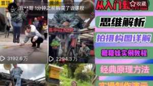 东方糖糖妹抖音短视频全套实战课思维+拍摄+剪辑+运营，从入门到精通-泰戈创艺资源库