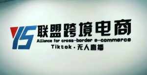 YS联盟·Tiktok无人直播，不出镜不剪辑不拍摄不发货无售后的跨境短视频躺赚玩法-泰戈创艺资源库