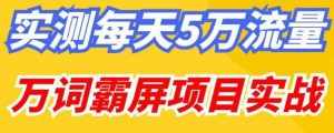 百度万词霸屏实操项目引流课,30天霸屏10万关键词-泰戈创艺资源库
