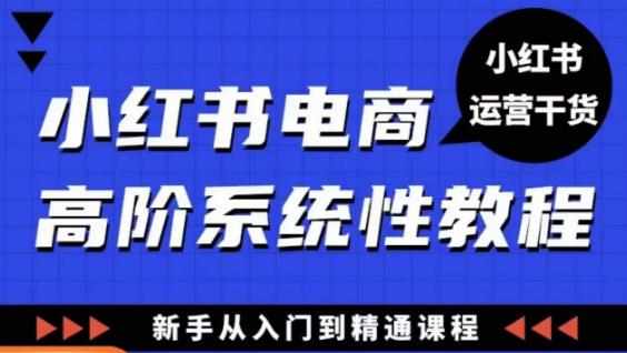 小红书电商高阶系统教程，新手从入门到精通系统课-泰戈创艺资源库