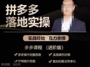 拼多多实战篇·落地实操：多多操作完整思路+实操案例讲解+拆解操作思路+复杂的算法简单化-泰戈创艺资源库