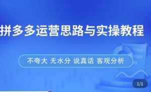 拼多多店铺运营思路与实操教程,快速学会拼多多开店和运营,少踩坑,多盈利-泰戈创艺资源库