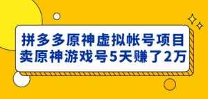 外面卖2980的拼多多原神虚拟帐号项目：卖原神游戏号5天赚了2万-泰戈创艺资源库