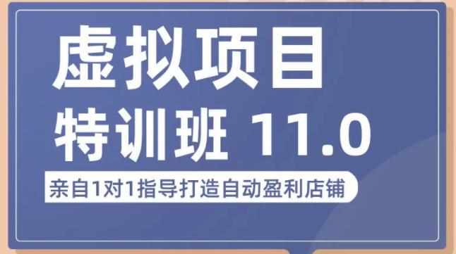 陆明明·虚拟项目特训班（10.0+11.0），0成本获取虚拟素材，0基础打造自动盈利店铺-泰戈创艺资源库