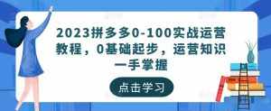 2023拼多多0-100实战运营教程,0基础起步,运营知识一手掌握-泰戈创艺资源库