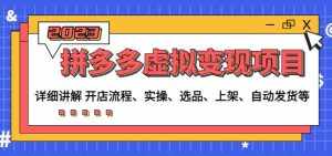 程哥拼多多虚拟变现项目:讲解开店流程-实操-选品-上架-自动发货等-泰戈创艺资源库