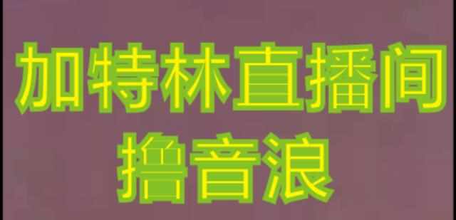 抖音加特林直播间搭建技术，抖音0粉开播，暴力撸音浪，2023新口子，每天800+【素材+详细教程】-泰戈创艺资源库