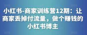 小红书-商家训练营12期:让商家丢掉付流量,做个赚钱的小红书博主-泰戈创艺资源库