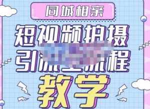 心动学堂·同城相亲短视频矩阵起号-引流-拍摄进阶，带你做好同城相亲，引流全流程教学-泰戈创艺资源库