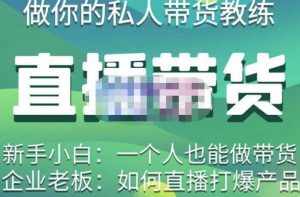 硬核传媒·直播带货(私人教练),实操实战教学,通俗易懂,学完后新手小白一个人也能做带货-泰戈创艺资源库