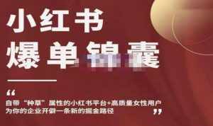 小红书爆单锦囊，自带种草属性+高质量女性用户，为你的企业开辟一条新的掘金路径-泰戈创艺资源库