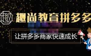 趣尚教育·拼多多运营实操VIP特训营，让拼多多商家快速成长-价值3180元-泰戈创艺资源库