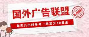 外面收费1980的最新国外LEAD广告联盟搬砖项目，单号一天至少30美金【详细玩法教程】-泰戈创艺资源库