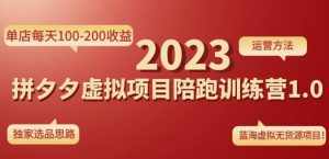 黄岛主拼多多虚拟项目陪跑训练营1.0,单店每天100-200收益,独家选品思路和运营-泰戈创艺资源库