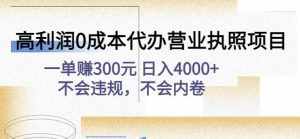 高利润0成本代办营业执照项目:一单赚300元日入4000+不会违规,不会内卷-泰戈创艺资源库