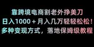 靠跨境电商割老外挣美刀,日入1000+月入几万轻轻松松!多种变现方式,落地保姆级教程【揭秘】-泰戈创艺资源库
