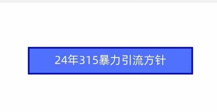24年315暴力引流方针-泰戈创艺资源库
