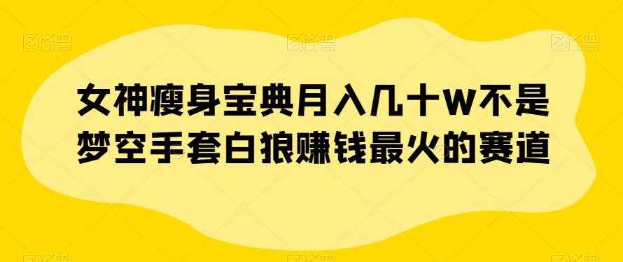 女神瘦身宝典月入几十W不是梦空手套白狼赚钱最火的赛道【揭秘】-泰戈创艺资源库
