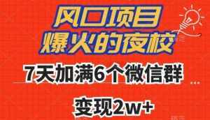 全网首发，爆火的夜校，7天加满6个微信群，变现2w+【揭秘】-泰戈创艺资源库