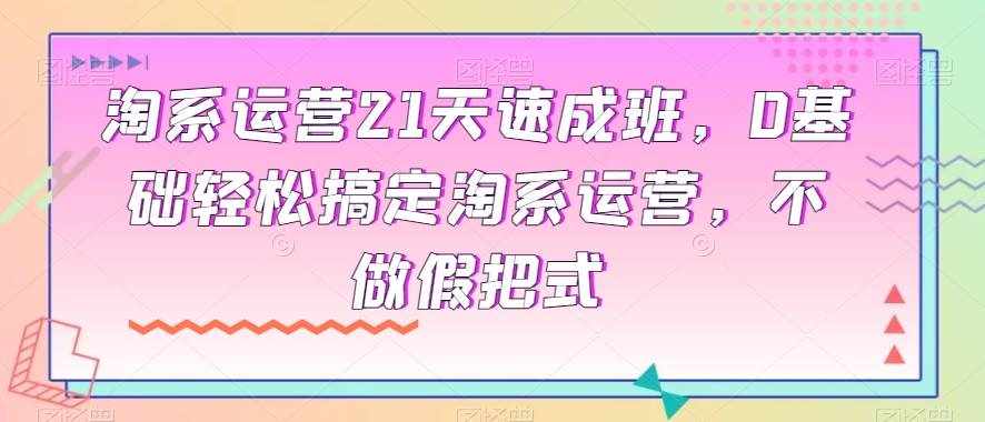 淘系运营21天速成班，0基础轻松搞定淘系运营，不做假把式-泰戈创艺资源库