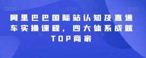 阿里巴巴国际站认知及直通车实操课程，四大体系成就TOP商家-泰戈创艺资源库