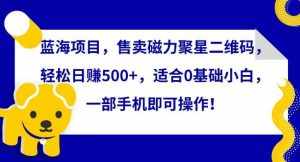 蓝海项目，售卖磁力聚星二维码，轻松日赚500+，适合0基础小白，一部手机即可操作【揭秘】-泰戈创艺资源库