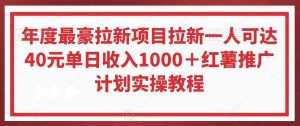 年度最豪拉新项目拉新一人可达40元单日收入1000+红薯推广计划实操教程【揭秘】-泰戈创艺资源库