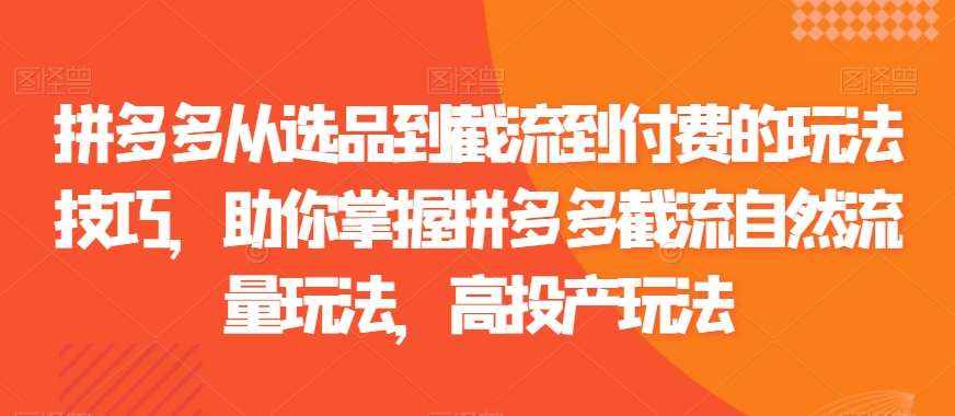 拼多多从选品到截流到付费的玩法技巧,助你掌握拼多多截流自然流量玩法,高投产玩法-泰戈创艺资源库
