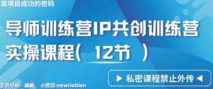 导师训练营3.0IP共创训练营私密实操课程（12节）-卖项目的密码成功秘诀【揭秘】-泰戈创艺资源库