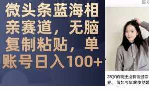 微头条蓝海相亲赛道,无脑复制粘贴,单账号日入100+-泰戈创艺资源库