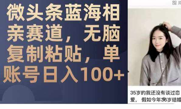 微头条蓝海相亲赛道，无脑复制粘贴，单账号日入100+-泰戈创艺资源库