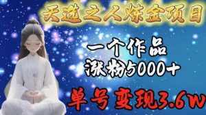 天选之人炼金项目，一个作品涨粉5000+，单号变现3.6w【揭秘】-泰戈创艺资源库