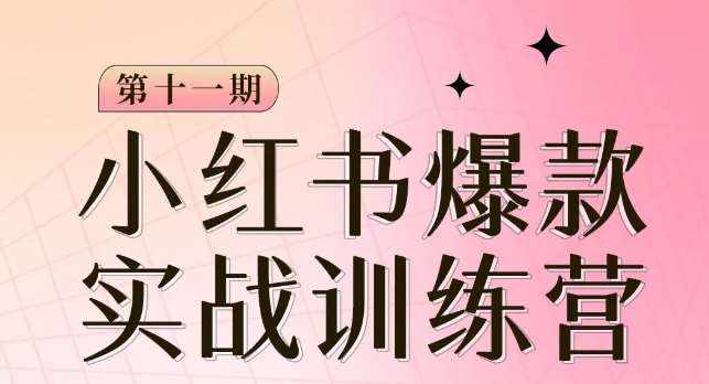 小红书博主爆款训练营第11期,手把手教你从0-1做小红书,从定位到起号到变现-泰戈创艺资源库