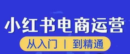 顽石小红书电商高阶运营课程，从入门到精通，玩法流程持续更新-泰戈创艺资源库