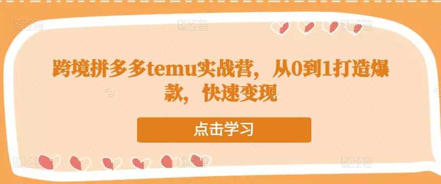 跨境拼多多temu实战营，从0到1打造爆款，快速变现-泰戈创艺资源库