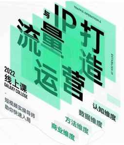 大蓝流量运营&个人ip打造课，短视频带货/爆款文案/流量运营/直播入门/镜头变现/流量商业-泰戈创艺资源库