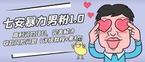 暴力男粉1.0：高利润的项目，完美解决收款风险问题（详细教程 素材）-泰戈创艺资源库