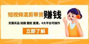短视频带货赚钱混剪特训营:无需囤货发货 拍摄 露脸 直播,4大平台可操作-泰戈创艺资源库