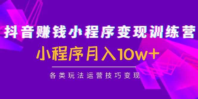 抖音赚钱小程序变现训练营：小程序月入10w+各类玩法运营技巧变现-泰戈创艺资源库